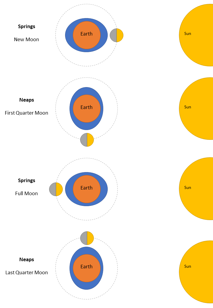 Diagram showing the effect the moon and sun has on the tides.