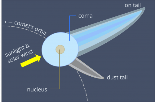Diagram of a comet showing the central small nucleus, large coma around the nucleus, dust trail left in the comet's path, and large ion tail that points away from the Sun.