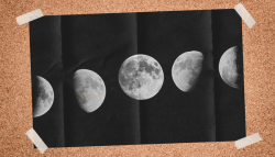 A poster taped to a notice board. The poster shows the phases of the Moon in a horizontal row against a black background.