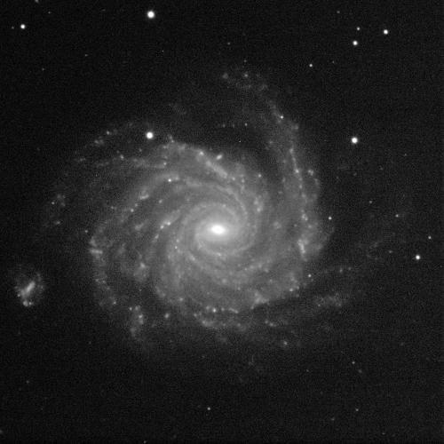 A spiral galaxy angled face-on against a black background with white dots of stars. The galaxy has a small, circular, bright, white centre and dusty grey spiral arms sweeping around it.