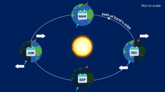 A diagram of the position of the Earth at different points in its orbit around the Sun that create the four seasons.