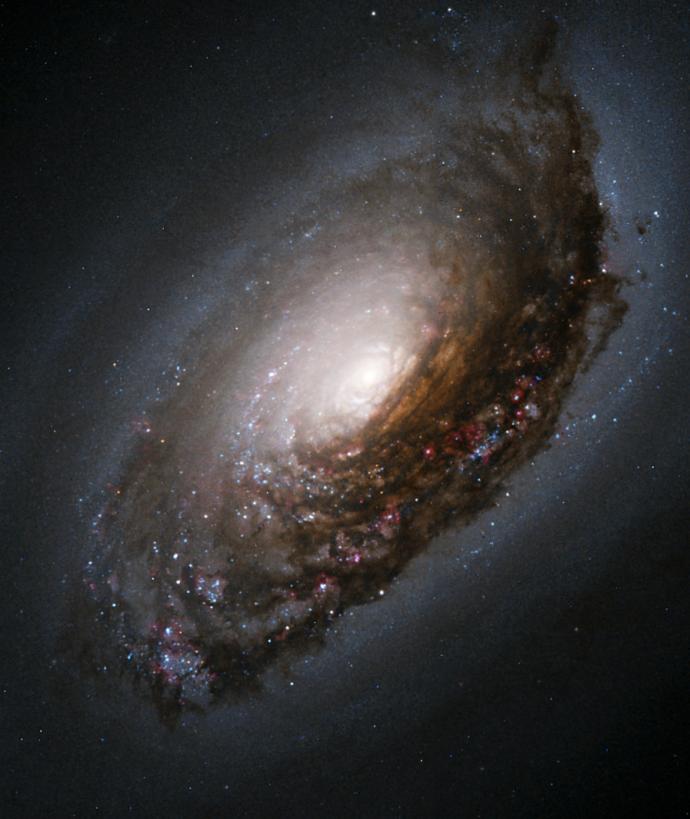 An image of the galaxy M64. There is bright white-yellow sphere in the centre, giving off a glow. Dark brown and black clouds of dust form a pinwheel shape around the centre. Within these clouds are numerous bright white dots of stars, though some appear more blue or red in colour. There are also a few stars visible against the black background.