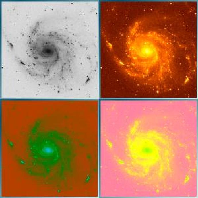 4 images of a galaxy (2 pairs on 2 rows) with spiral arms. Top left has a grey background with darker grey cloudy spiral arms and dots and smudges of black in areas. Top right shows a dark reddish-brown background with the galaxy in red and orange with a yellow centre. Bottom left has a red background with the galaxy in green and a whiteish centre. Bottom right has a pink background with the galaxy in yellow and a green centre.